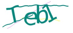 Identifying code