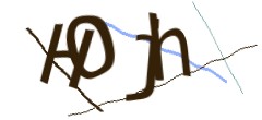 Identifying code