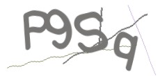 Identifying code