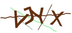 Identifying code