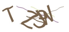 Identifying code