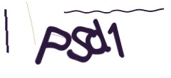 Identifying code