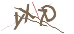 Identifying code