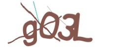 Identifying code