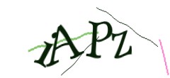 Identifying code