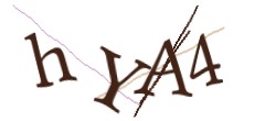 Identifying code