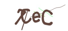 Identifying code
