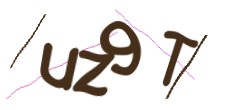 Identifying code