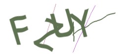 Identifying code