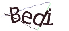Identifying code