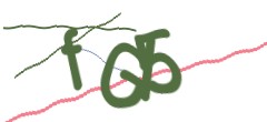 Identifying code