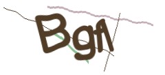 Identifying code