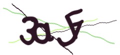 Identifying code