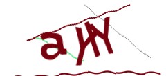 Identifying code