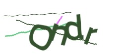 Identifying code