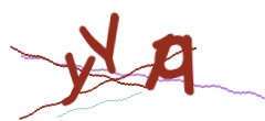 Identifying code