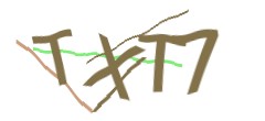 Identifying code