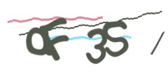 Identifying code