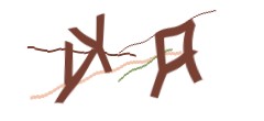 Identifying code