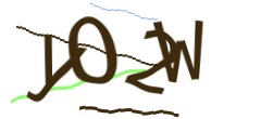 Identifying code
