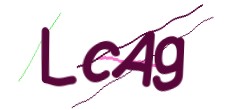 Identifying code