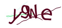 Identifying code