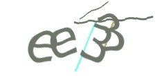 Identifying code