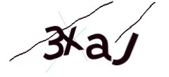 Identifying code