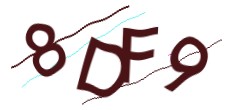Identifying code
