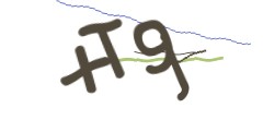 Identifying code