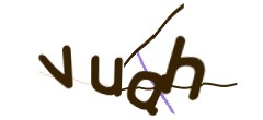 Identifying code
