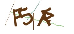 Identifying code