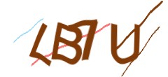 Identifying code