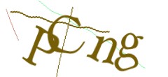 Identifying code