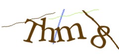 Identifying code