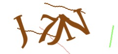 Identifying code