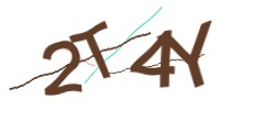 Identifying code