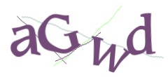 Identifying code