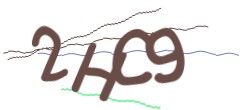 Identifying code