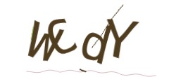 Identifying code