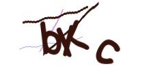 Identifying code
