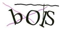 Identifying code