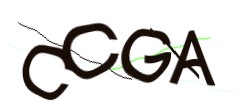 Identifying code