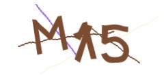 Identifying code