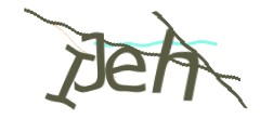 Identifying code