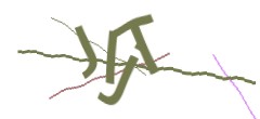Identifying code