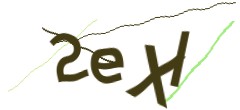 Identifying code
