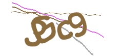 Identifying code