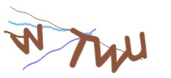 Identifying code