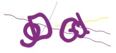 Identifying code